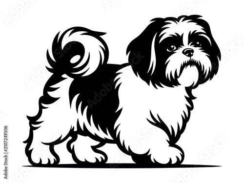 Cuadro en lienzo A black and white shih tzu dog illustration stylized vector art with a transpare
