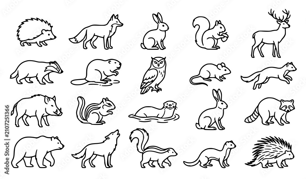Obraz premium Minimal Woodland Creature Outline Collection Black White Wildlife Vector