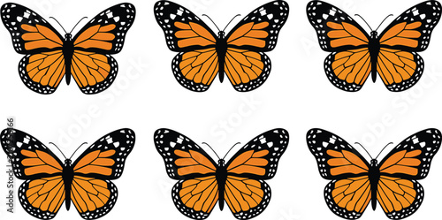 Cuadro en lienzo Six monarch butterflies in two rows... d