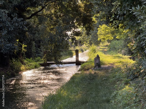 walk in the park in sedriano italy 