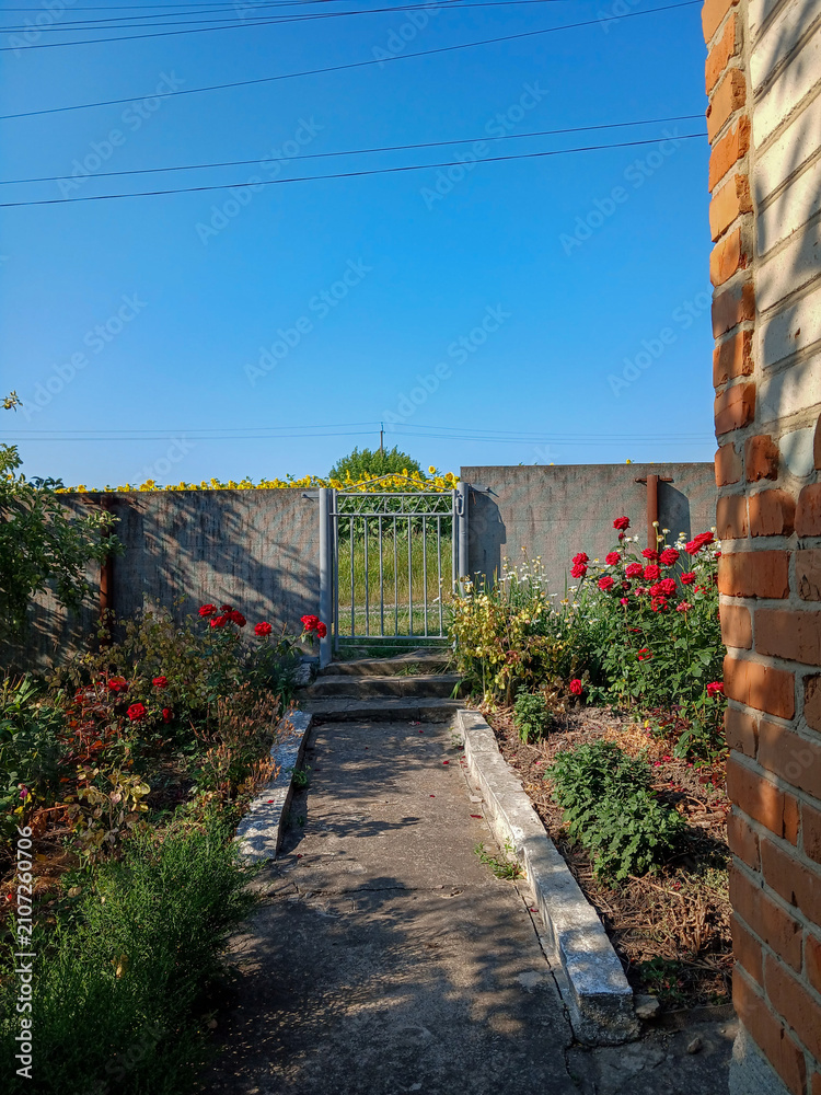Fototapeta premium Beautiful garden path with blooming red flowers leading to a metal gate under blue sky