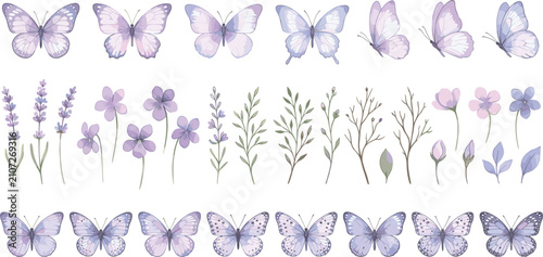 Watercolor lavender butterfly and floral vector set with purple butterflies violet flowers twigs and branches design elements clip art