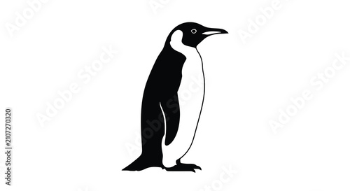 Fotografie A detailed penguin illustration in black and white presented as a striking silho