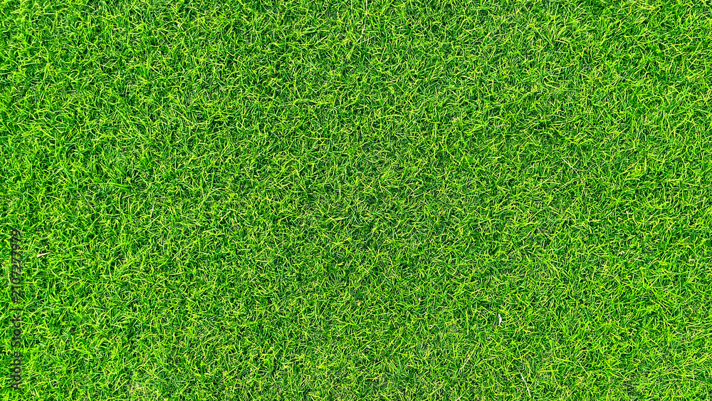 Fototapeta premium Vibrant Green Grass Texture Background