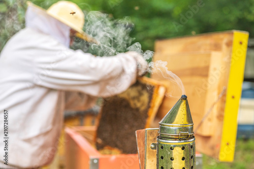 Fotografie Beekeeper using bee smoker with thick smoke and working on hive frame