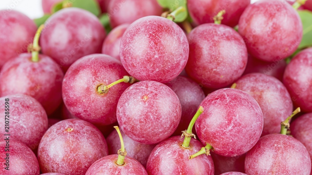 Obraz premium Red grapes clustered with stems in closeup view