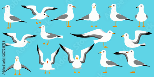 Seagulls In Various Poses Flat Vector Illustration With Teal Background