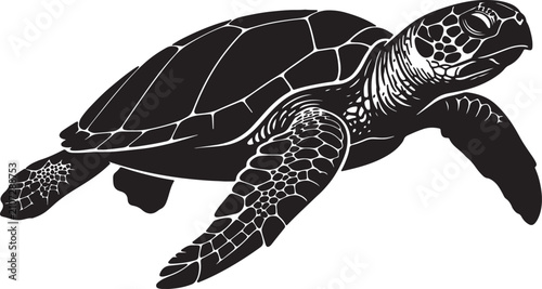 Fotografi Black and white of a swimming sea turtle, side profile view with detailed shell