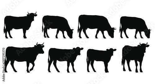 Foto Black silhouettes of grazing cattle in various poses against a white background