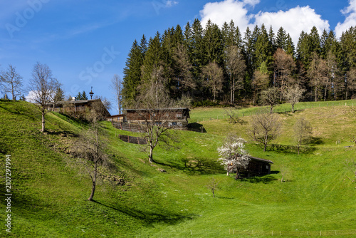 original farms on a hillside in a meadow in the Tyrolean Windautal valley with blue sky and white clouds