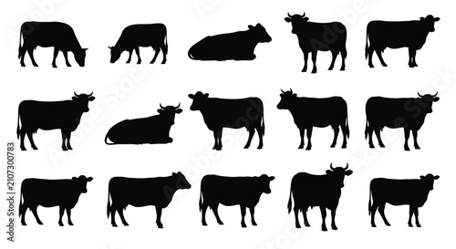 Photos Silhouette collection of grazing cattle and cows in various positions