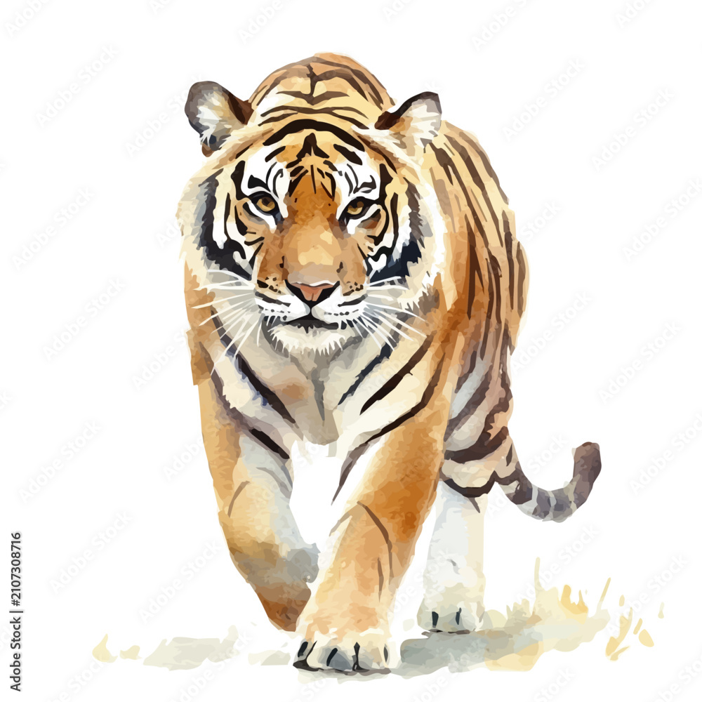 Fototapeta premium Tiger, beautiful watercolor illustration with vivid colors and detailed vector style, isolated on a white background.