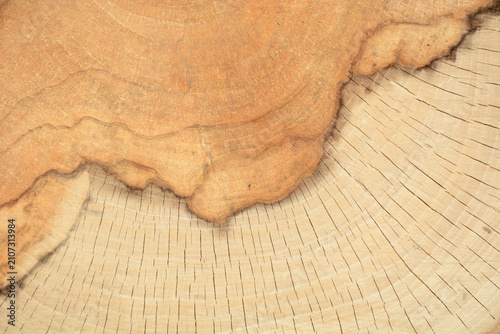 real wood grain