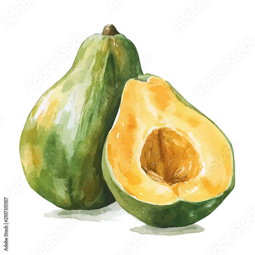 Lucuma, high quality watercolor illustration with transparent textures, isolated on a white background.