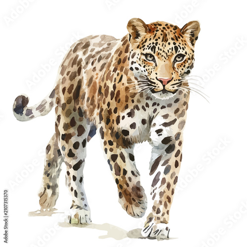 Canvas Print Leopard, charming watercolor vector with soft tones and graceful design, isolated on a white background