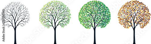 Four trees representing seasonal changes winter spring summer and autumn