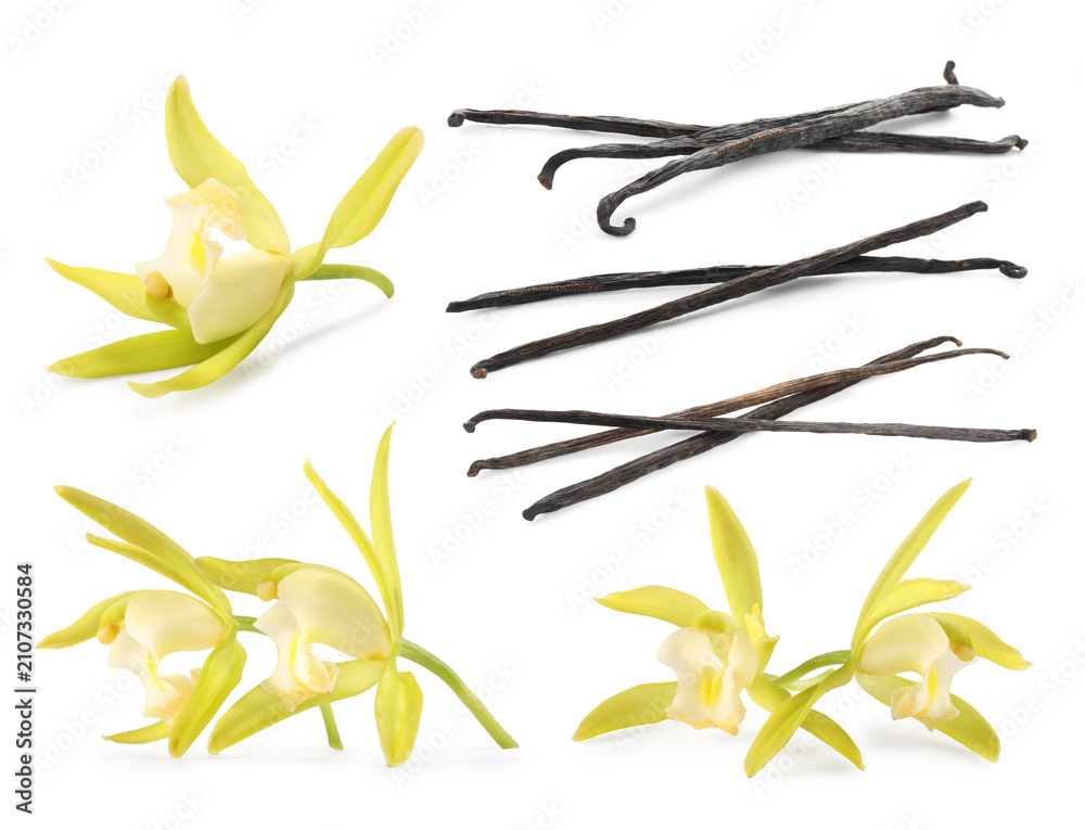 Obraz premium Vanilla pods and orchid flowers isolated on white, set