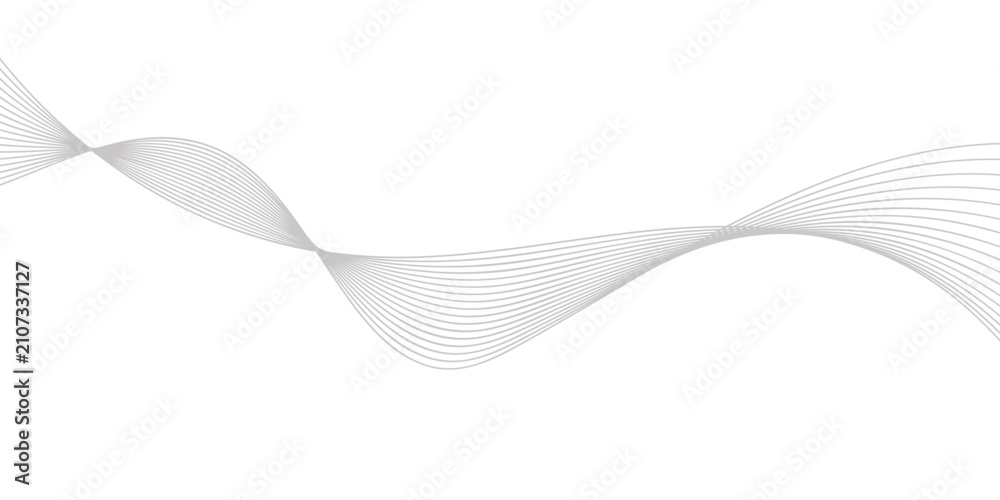 Fototapeta premium abstract elegant grey wave line pattern background