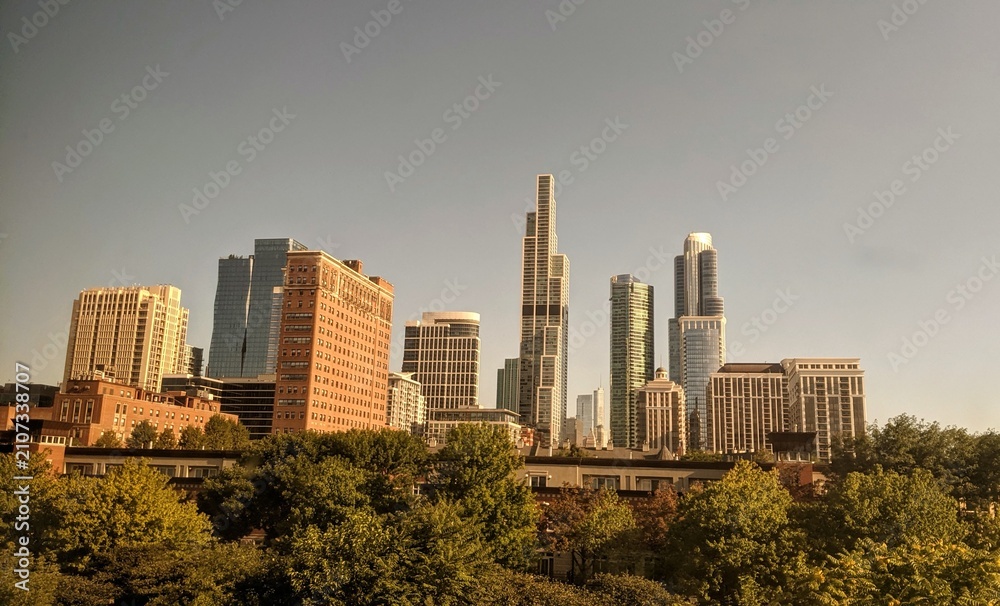 Obraz premium Chicago Skyline