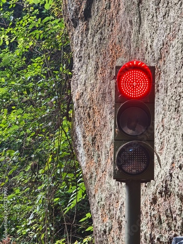 Semáforo con luz roja encendida junto a pared de roca natural y vegetación verde densa. 