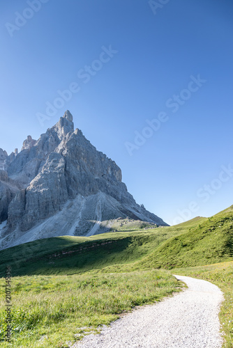 Path to Cimon della Pala - named The King of Dolomites - through alpine meadows, Italy