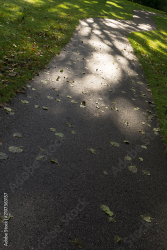 Принти на полотні Walking path with shadows