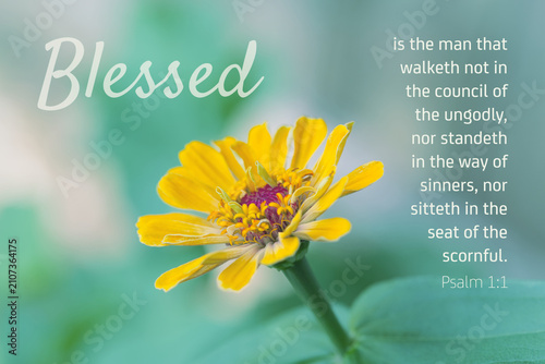 Bible Scripture Photo Art; Bible Verse from Psalm 1:1 with Flower Image
