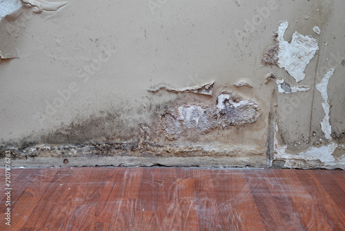 Interior wall requiring renovation after severe water and moisture damage.