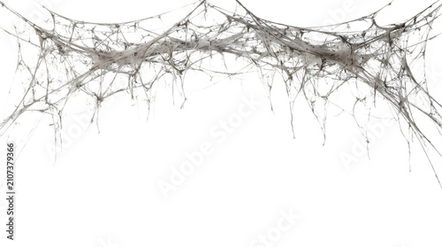 Spooky spider web decoration. Halloween cobweb on a isolated transparent background png