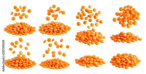 Food. Lentils. Orange Dried Legumes. Isolated on transparent background
