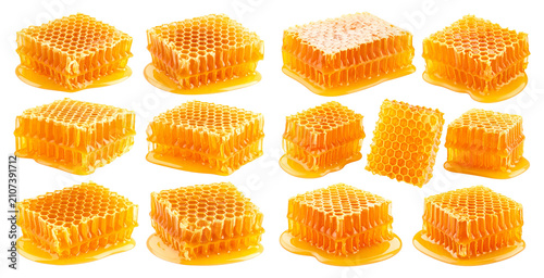 Food Photography. Honeycomb. Natural Sweetness, Golden Texture. Isolated on transparent background