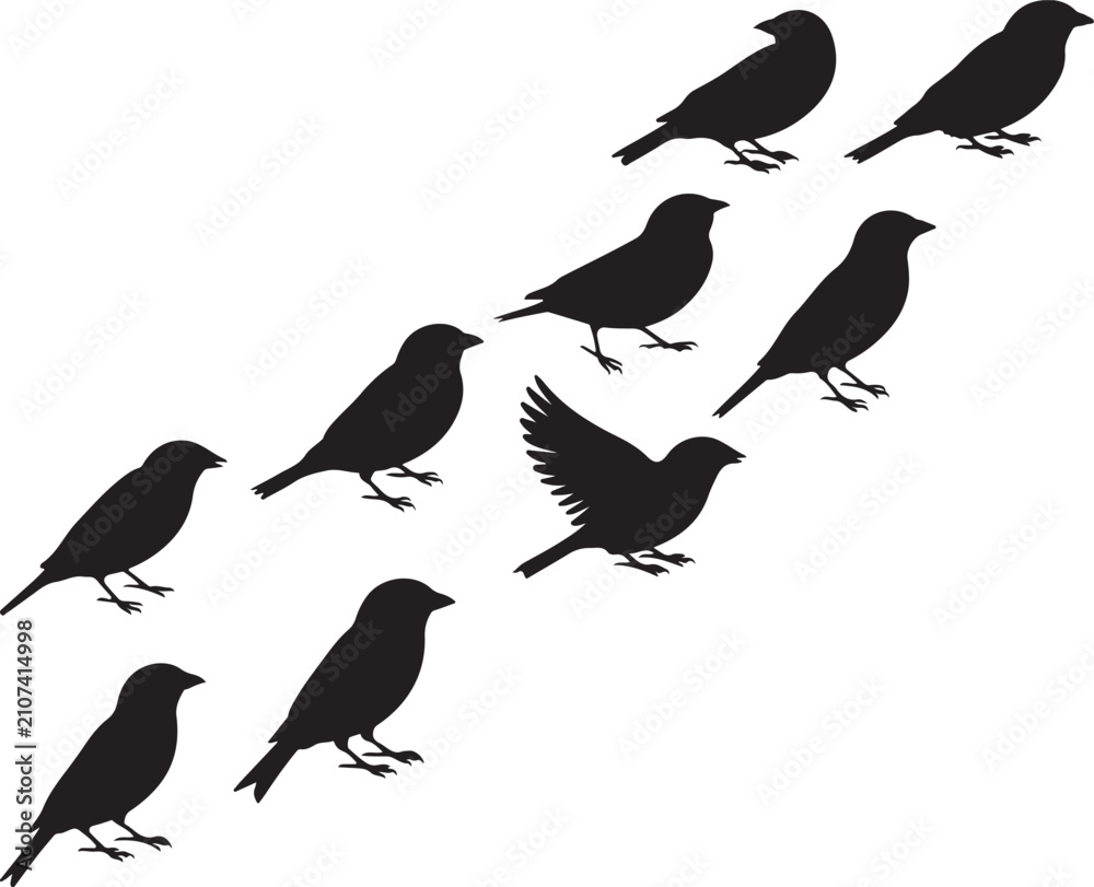 Obraz premium Black Bird Silhouette Collection, Flying and Perched Songbird Icons Set, Sparrow Crow Raven Wildlife Vector Illustration
