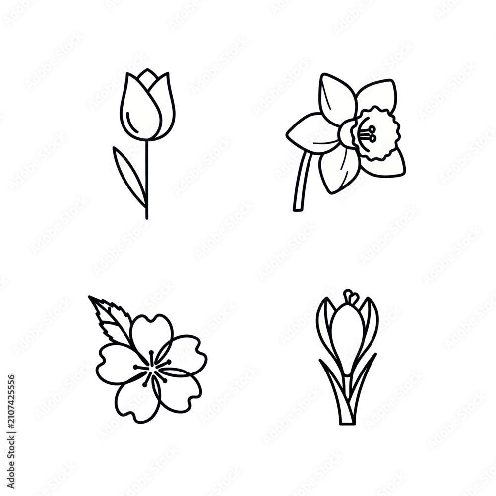 Fototapeta premium Four spring flower line art icons set.
