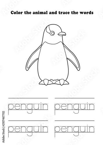 Learning Worksheet Gentoo Penguin Coloring Tracing
