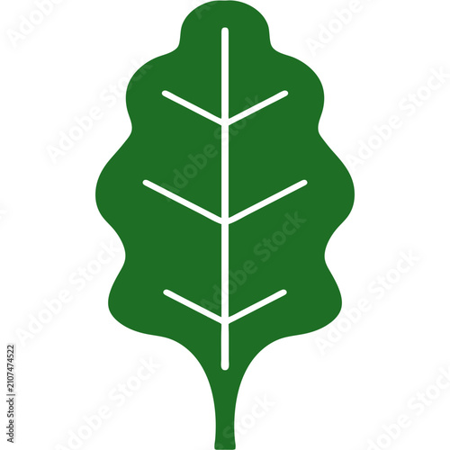 lettuce leaf