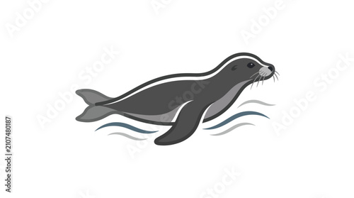 Foto Seal swimming in the water.
