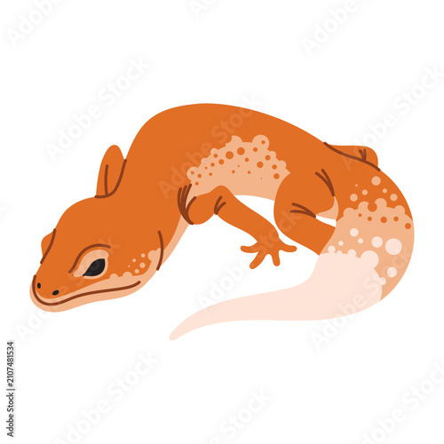 Canvastavla Orange leopard gecko lizard vector illustration isolated