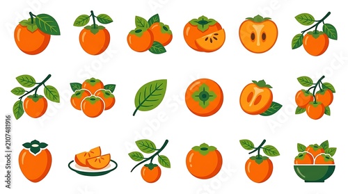 Colorful autumn citrus fruits with leaves on white background.