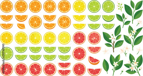 Set of Fresh Citrus Fruits, Slices, Leaves, and Blossoms for Healthy Diet and Design