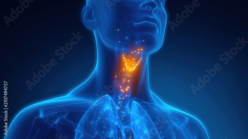 Thyroid Disease Medical Concept, Human Thyroid Gland Disorder, Endocrine System Illness, Hyperthyroidism, Hypothyroidism, Thyroid Nodule and Inflammation Health Illustration for Medical Science 