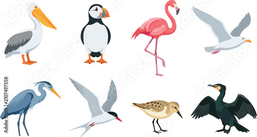 Foto Coastal Seabird Collection Vector Set with Pelican Puffin Flamingo Seagull Heron