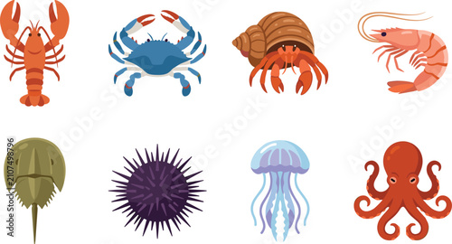 Marine Invertebrates Vector Collection with Crab Lobster Shrimp Octopus Jellyfish Sea Urchin and Horseshoe Crab