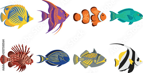 Fotografie Tropical Reef Fish Collection Vector Set with Butterflyfish Angelfish Clownfish