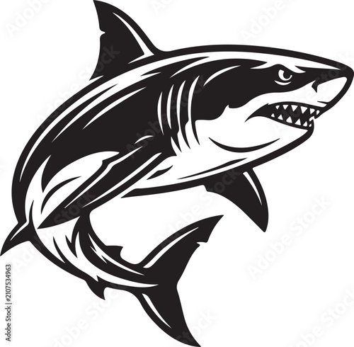 Photography shark vector illustration