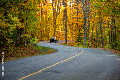 Obraz na plátne Car driving on a winding country road through a forest of golden and orange autu