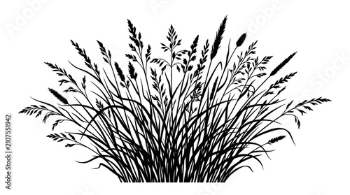 CAD tree lines,  grass Black silhouette of wild meadow grass, botanical field plant vector illustration, organic prairie weeds and cereal stalks on white background vector