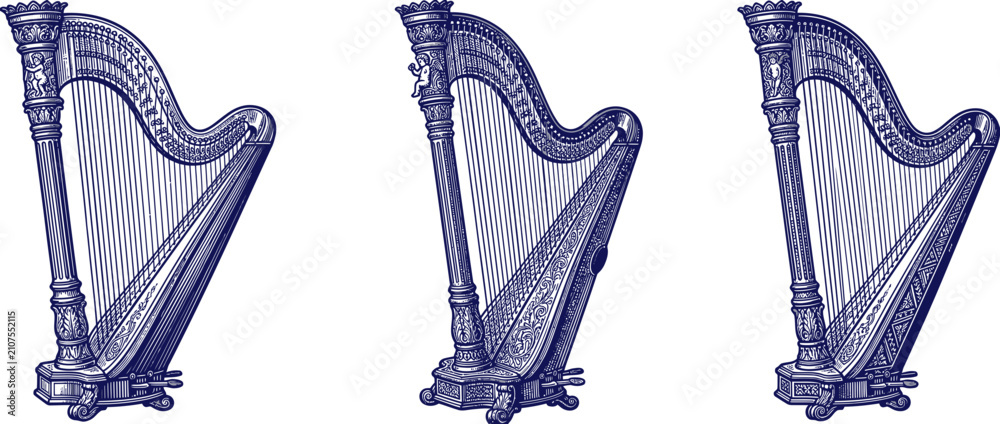 Foto Vintage Stringed Musical Instruments Illustration