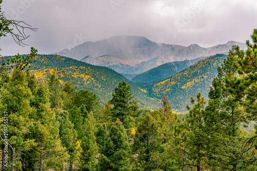 Lush pine forest frames a deep mountain valley leading to the hazy summit of Pikes Peak with scattered golden fall colors.