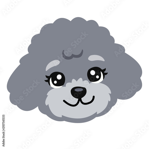 Toy Poodle