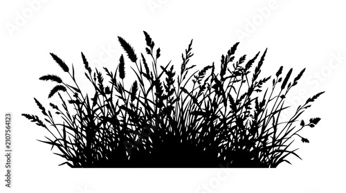 Fotografía Various grass and plant silhouettes combine to form a diverse black and white illustration of natural ground cover, offering versatility for creative projects